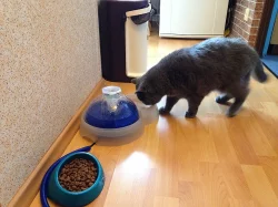 Prodám Fontánku na pití pro kočky, DOPRAVA v ceně.