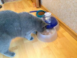 Prodám Fontánku na pití pro kočky, DOPRAVA v ceně.