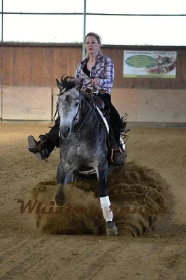 Připouštění hřebcem Whizper To Me