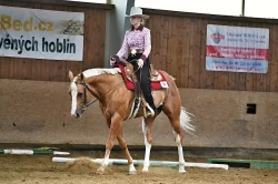 Připouštění hřebcem Classic Western Art