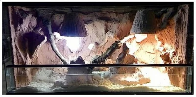 Volne terarium
