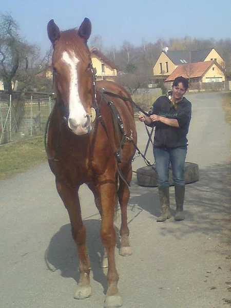 Valach