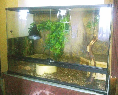 prodam terarium Exo terra
