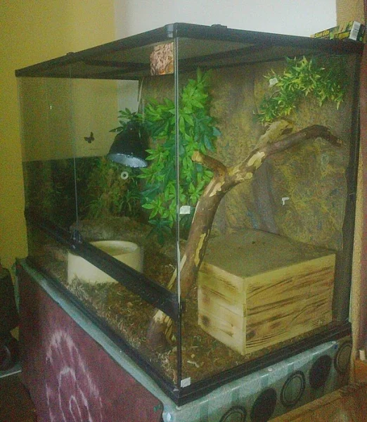 prodam terarium Exo terra