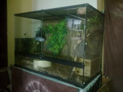 prodam terarium Exo terra