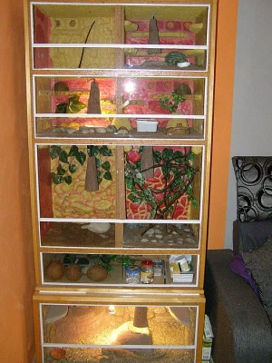 Terarijní stěna