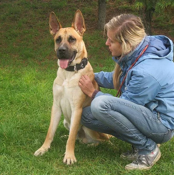 Hravý Ozzy hledá nový domov