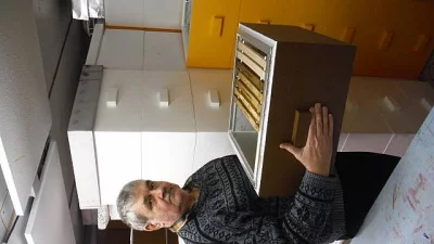 Nast. úly včetně včelstva