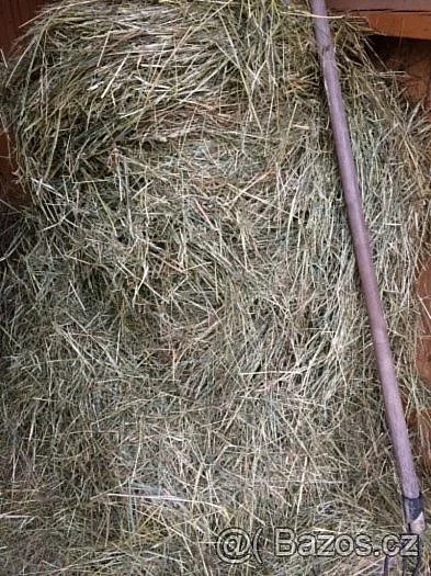 kvalitní seno - prodej