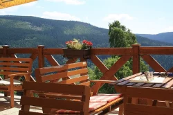 Letní dovolená s pejskem v Krkonoších