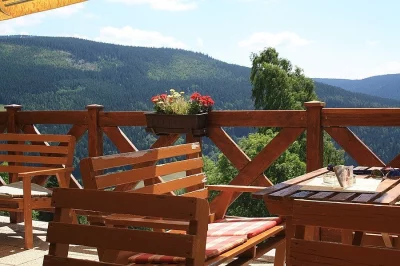 Letní dovolená s pejskem v Krkonoších