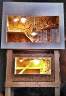 Agama vousatá - rezervace mláďat