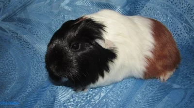 Nabízíme k rezervaci