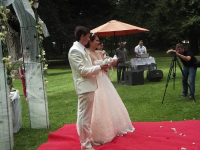 *  Svatební holoubci *