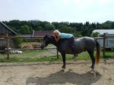 Valach 6 let černý šiml