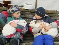 Kříženci BO x Kal.