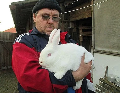 Kříženci BO x Kal.