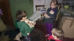 Štěňata Zlatý Retrívr + Čuvač