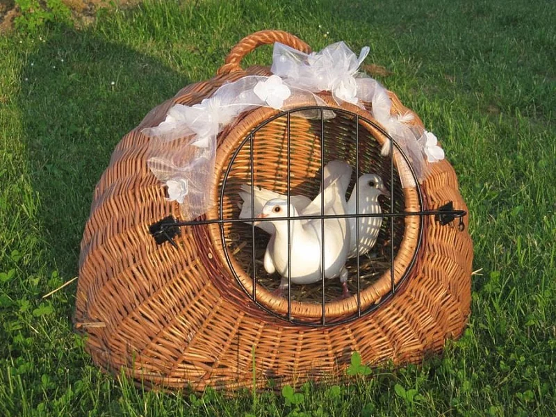 SVATEBNÍ HOLUBI OSTRAVA