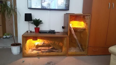2xterarium