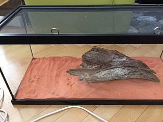 Terarium Dragon Kit ZM ReptiHabitat Bearded