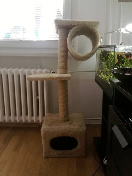 Kočičí WC + škrábadlo ZDARMA!