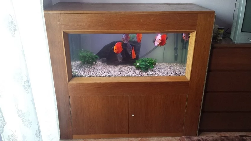 Akvárium 300 l s příslušenstvím
