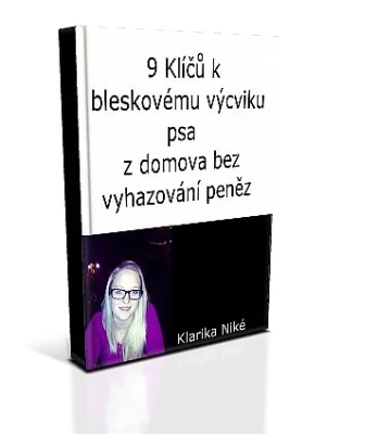 Nejlepší metoda výcviku online zdarma