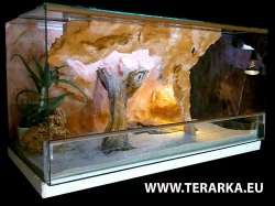 Terárium pro Agamku s možností dopravy po ČR