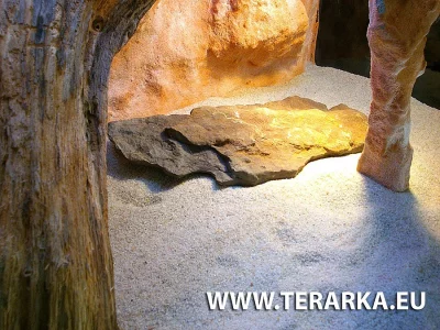 Terárium pro Agamku s možností dopravy po ČR