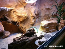 Terárium pro Agamku s možností dopravy po ČR