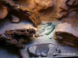 Terárium pro Agamku s možností dopravy po ČR