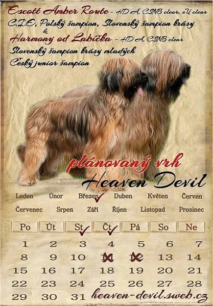 Briard - plavá štěňátka
