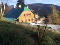 Dovolená s pejskem v krásné přírodě