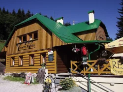 Dovolená s pejskem v krásné přírodě