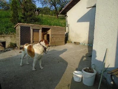 Darování.