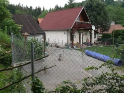 Psí školka - chovatelská stanice Vetřelec