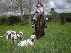Psí školka - chovatelská stanice Vetřelec