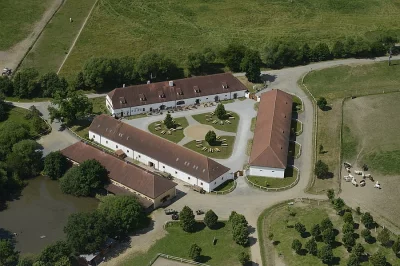 Odchování hříbat