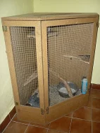 Chovný pár činčil jihoamerických