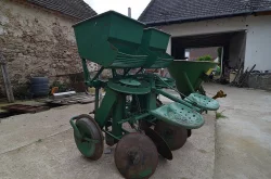 Sazeč brambor, krásný stav