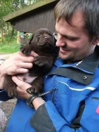 LABRADORSKÝ RETRÍVR - ŠTĚŇÁTKA