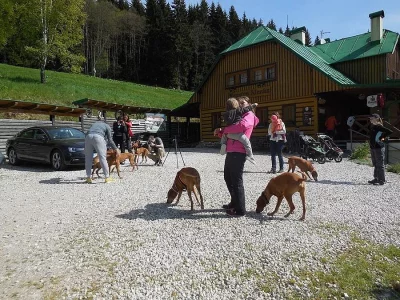 Dovolená s pejskem v krásné přírodě