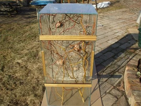 Terárium pro chamelona 96x44x44cm s pozadím - nové