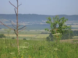 jízda na koni pro děti a dospělé