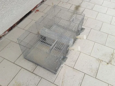 Klece pro chov činčil