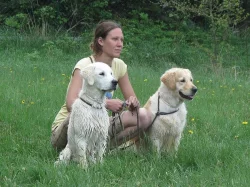 Individuální venčení a hlídání psů, koček a králíčků