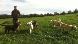 Individuální venčení a hlídání psů, koček a králíčků