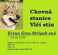 Štěňátka ČS vlčáka s PP