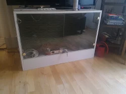 Prodám terárium po hadovi + příslušenství 100x67x50